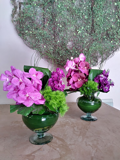 Florist «Alamo Plants & Petals», reviews and photos, 119 W Sunset Rd, San Antonio, TX 78209, USA