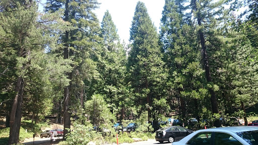 Gift Shop «Big Trees Gift Shop», reviews and photos, 4720 Mariposa Grove Rd, Fish Camp, CA 93623, USA