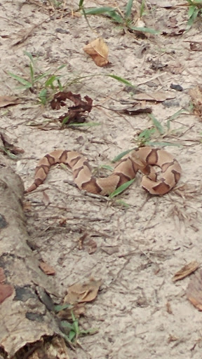 Nature Preserve «Spring Trails Preserve», reviews and photos, Claytons Bend, Spring, TX 77386, USA