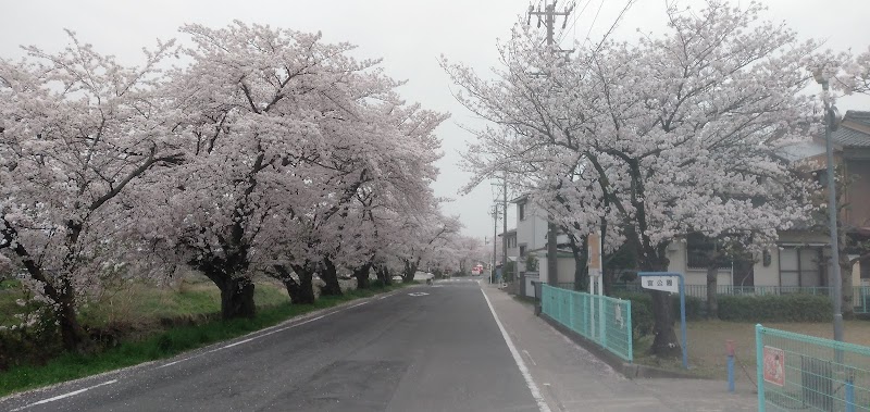 宮公園