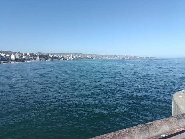 Opiniones de Muelle Vergara en Viña del Mar - Museo