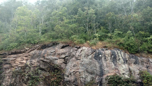 Tourist Attraction «French Broad Overlook», reviews and photos, 3938 Blue Ridge Pkwy, Arden, NC 28704, USA