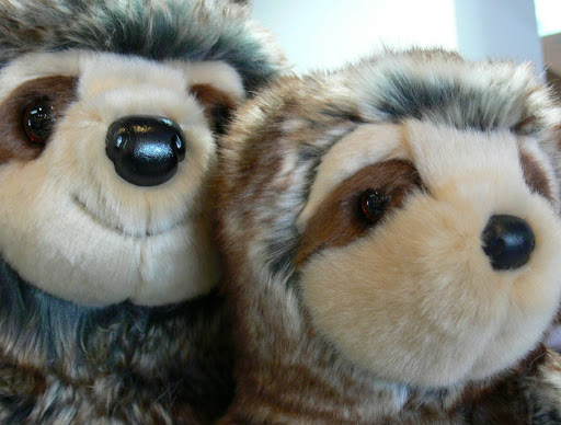 Toy Store «Timbuk Toys Highlands Ranch», reviews and photos, 9315 Dorchester St #107, Highlands Ranch, CO 80129, USA