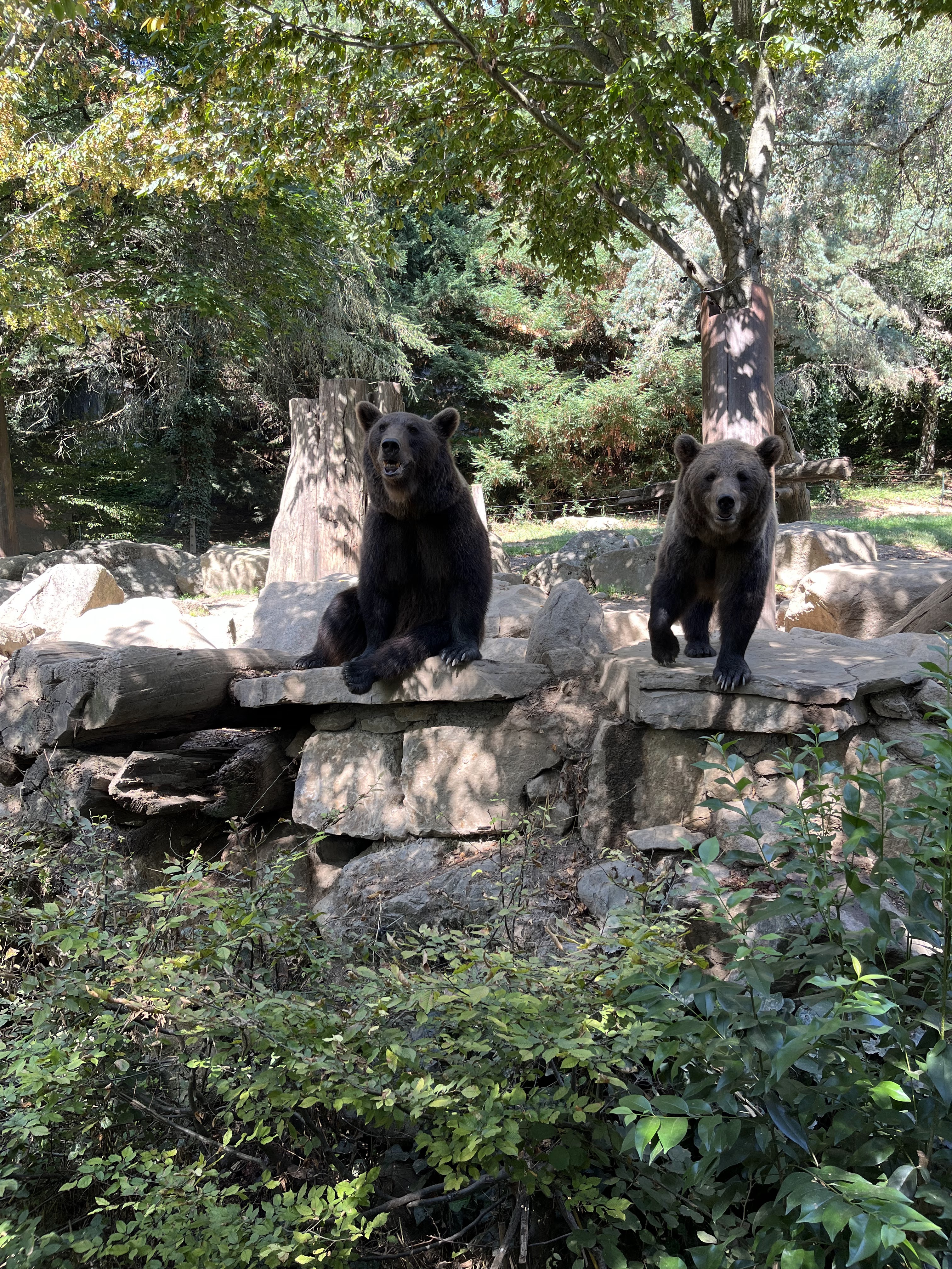 Photo n° 4 de l'avis de Gianni.O fait le 27/08/2023 à 17:38