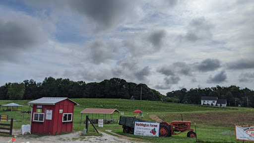 Farm «Warbington Farms (U-Pick Strawberries)», reviews and photos, 5555 Crow Rd, Cumming, GA 30041, USA