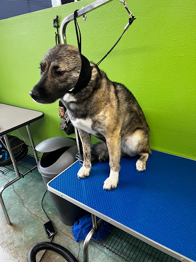 Willamette Valley Animal Hospital of Tualatin