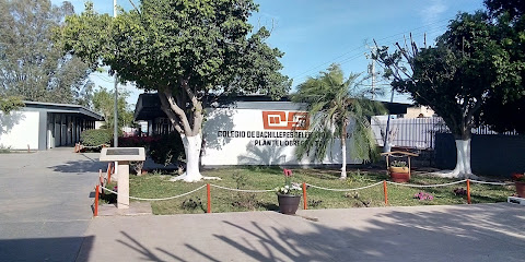Colegio de Bachilleres del Estado de Sonora