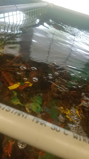 Seafood Market «Pine Tree Seafood & Produce», reviews and photos, 655 US-1, Scarborough, ME 04074, USA