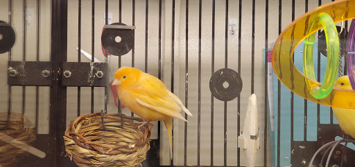 Pet Supply Store «PetSmart», reviews and photos, 1733 S Stapley Dr, Mesa, AZ 85204, USA