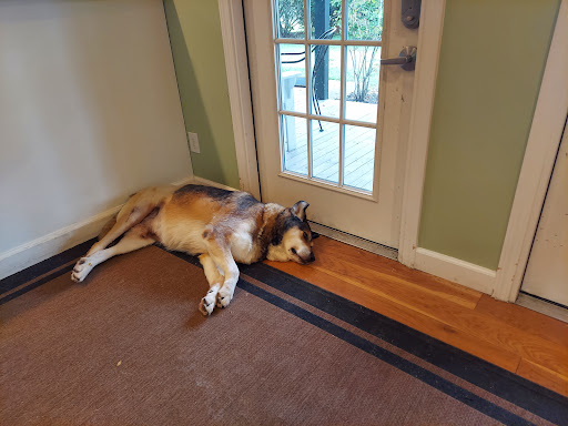 Winery «Smith-Berry Winery», reviews and photos, 855 Drennon Rd, New Castle, KY 40050, USA