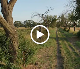 Rieselfelder Karolinenhöhe photo