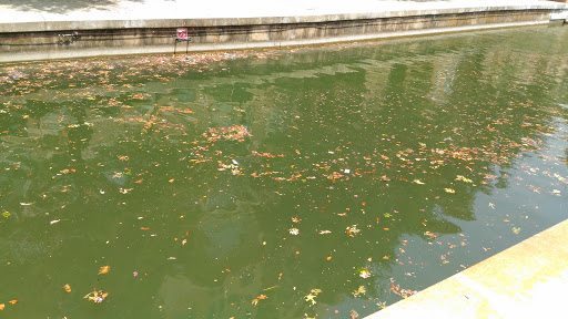 Tourist Attraction «Mandalay Canal Walk at Las Colinas», reviews and photos, 215 Mandalay Canal, Irving, TX 75039, USA