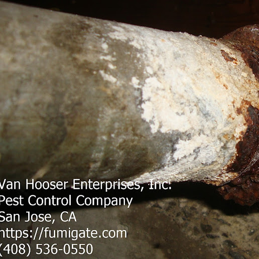 Van Hooser Enterprises Flea Exterminator