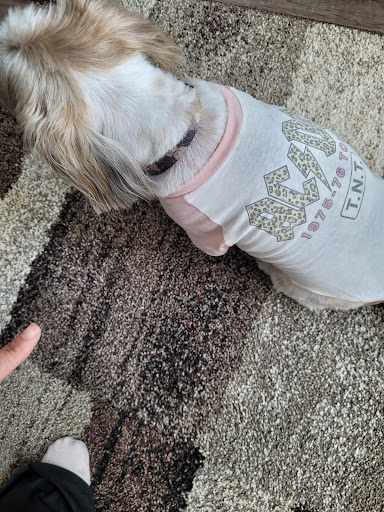 Pet Supply Store «PetSmart», reviews and photos, 27161 Crossroads Pkwy, Rossford, OH 43460, USA