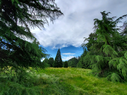 Golf Course «Wayne Public Golf Course», reviews and photos, 16721 96th Ave NE, Bothell, WA 98011, USA