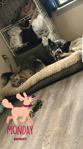 Bryant Veterinary Clinic