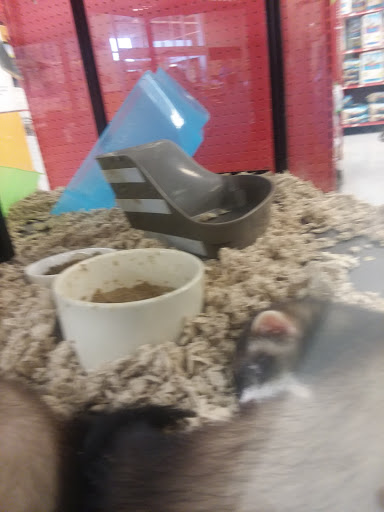 Pet Supply Store «Petco Animal Supplies», reviews and photos, 12551 Jefferson Ave #119, Newport News, VA 23602, USA