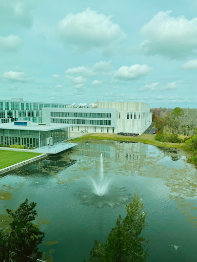 3687 Tampa Rd, Oldsmar, FL 34677, USA