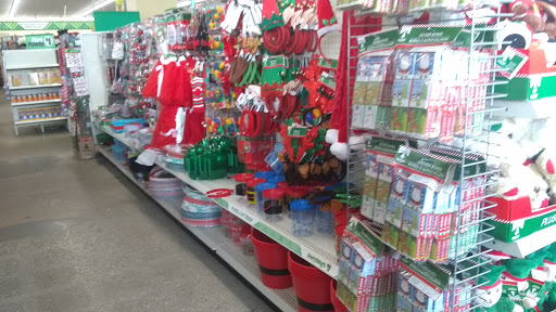 Dollar Store «Dollar Tree», reviews and photos, 7709 W Roosevelt Rd, Forest Park, IL 60130, USA