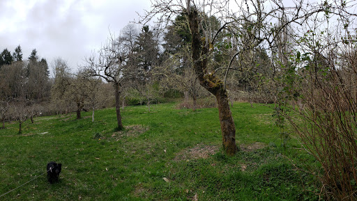 Piper's Orchard