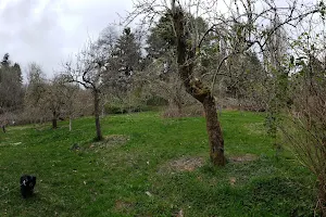 Piper's Orchard image