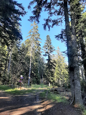 Marche Nordique Savoie Aurore ROSSO à Les Allues