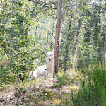 Photo n° 2 de l'avis de under2.0. fait le 15/08/2023 à 11:15 pour Parc de Courzieu à Courzieu