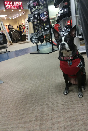 Motorcycle Dealer «North American Warhorse», reviews and photos, 1000 Dunham Dr, Dunmore, PA 18512, USA