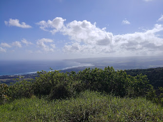 Mokulēʻia Forest Reserve