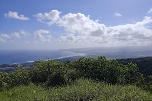 Mokuleʻia Forest Reserve image