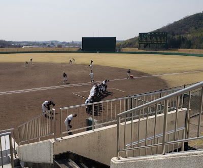 プリニーの野球場