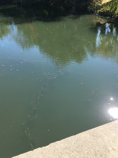 Park «East Rock Park», reviews and photos, 41 Cold Spring St, New Haven, CT 06511, USA