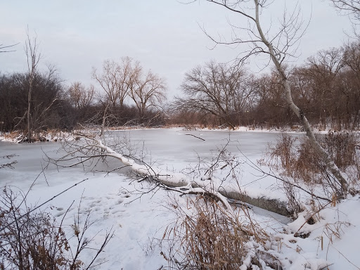 Park «Bass Lake Park», reviews and photos, 3450 Glenhurst Ave, Minneapolis, MN 55416, USA