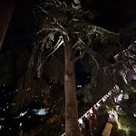 Photo n°5 de l'avis de Giorgio.e fait le 21/06/2022 à 11:29 sur le  La Fucina à Cison di Valmarino