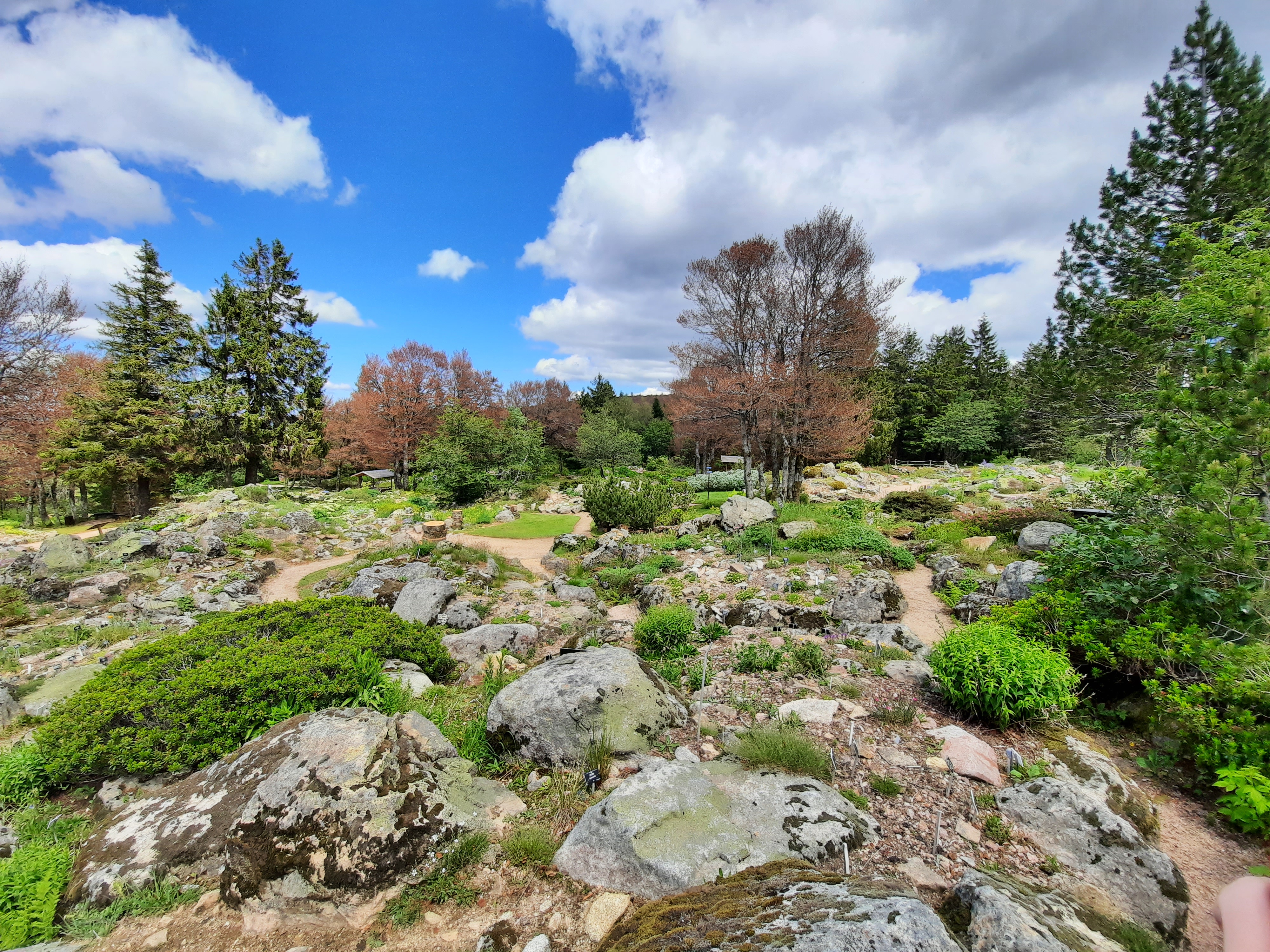 Photo n° 38 de l'avis de Victoria.e fait le 22/06/2020 à 21:37