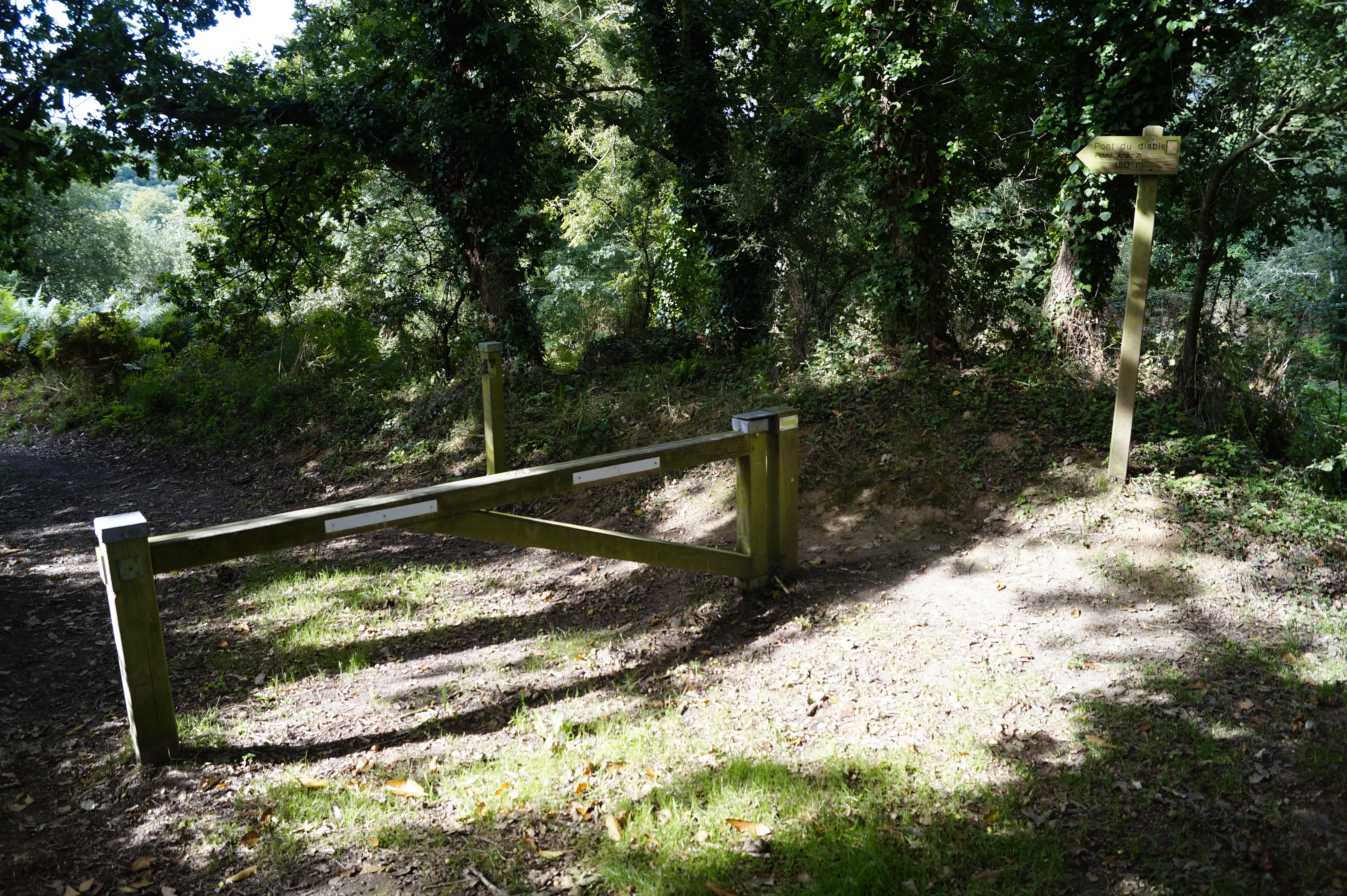 Photo n° 1 de l'avis de Sven.e fait le 02/09/2019 à 07:33