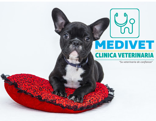 Clinica Veterinaria MediVet