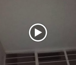 asistenacia a estudiantes photo