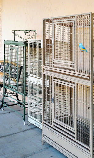Bird Shop «Arizona Bird Store», reviews and photos, 565 S Dobson Rd, Mesa, AZ 85202, USA