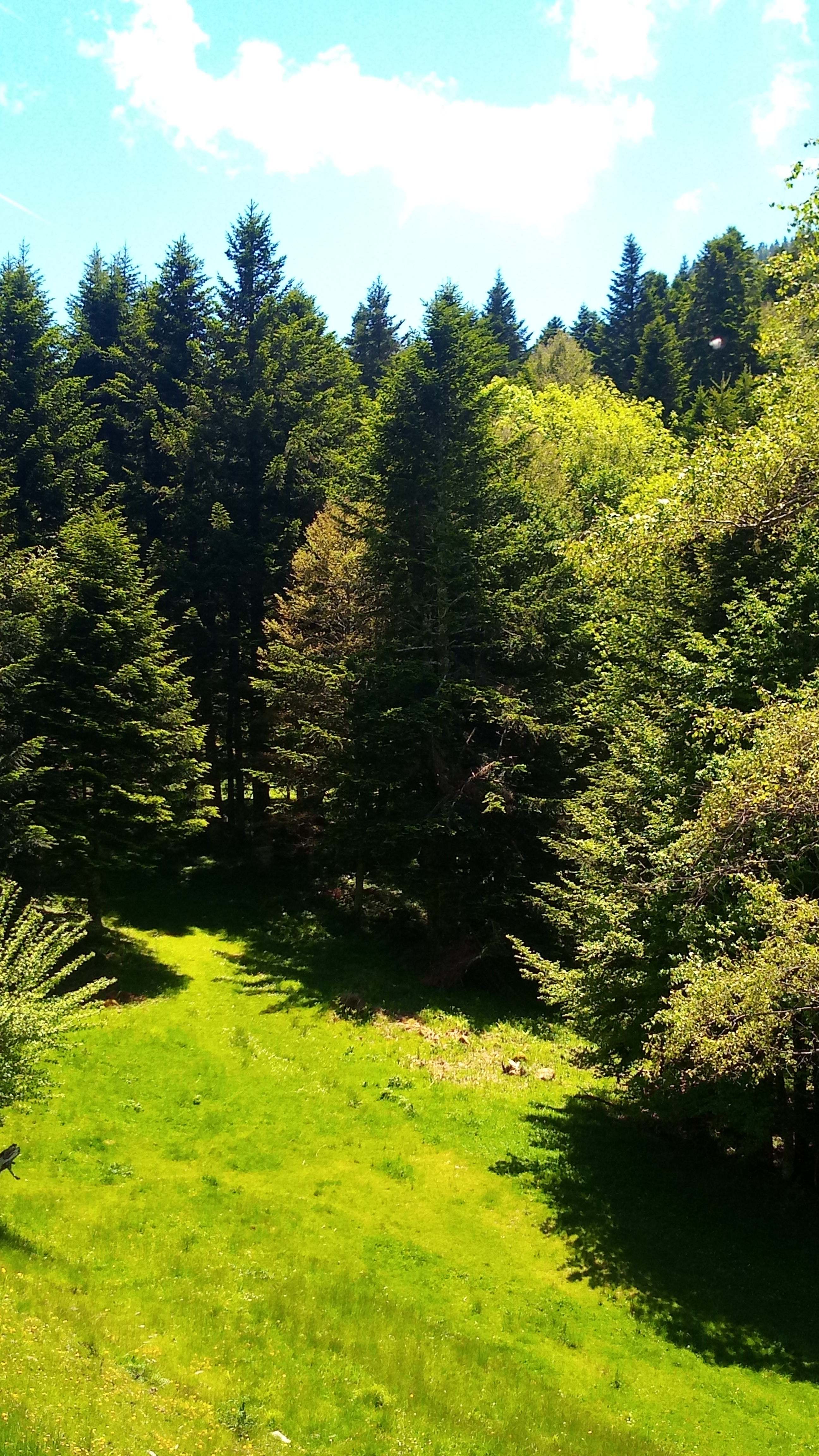 Photo n° 6 de l'avis de Hypnose.e fait le 01/07/2019 à 07:26