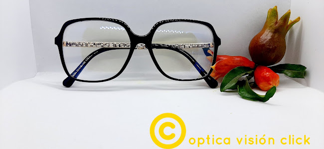 Optica Vision Click - Maipú