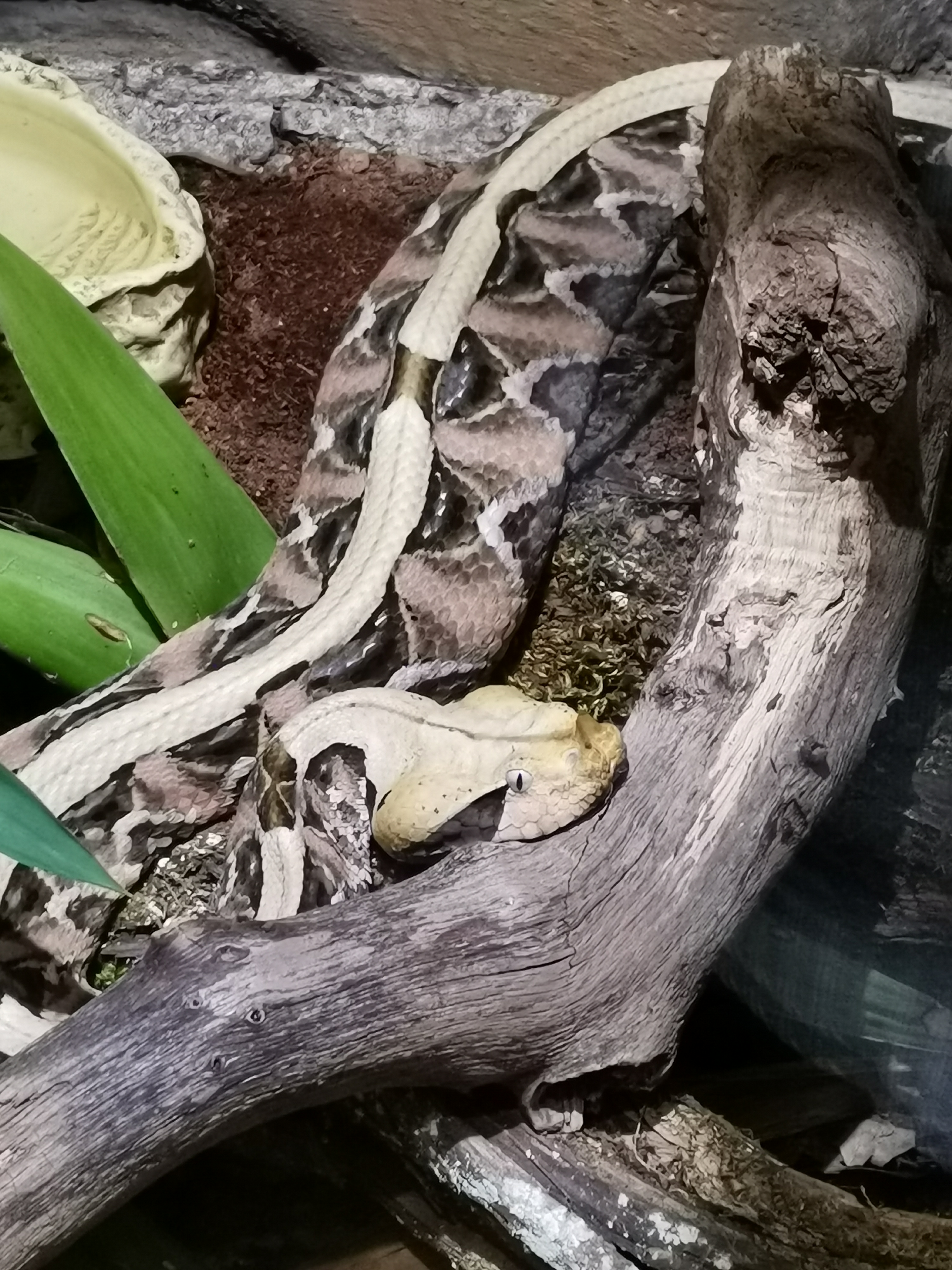 Photo n° 6 de l'avis de Jerome.a fait le 23/10/2021 à 18:04