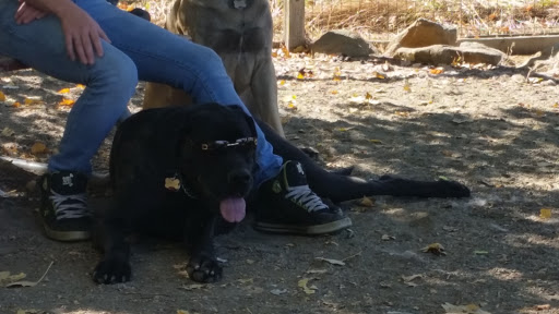 Dog Park «Grandview Dog Park», reviews and photos, 17500 E Quincy Ave, Aurora, CO 80015, USA