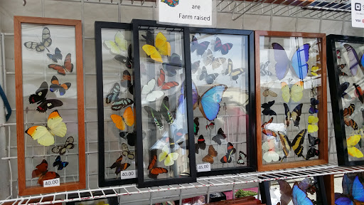 Supermarket «Brighton Bazaar», reviews and photos, 1007 Brighton Beach Ave, Brooklyn, NY 11235, USA