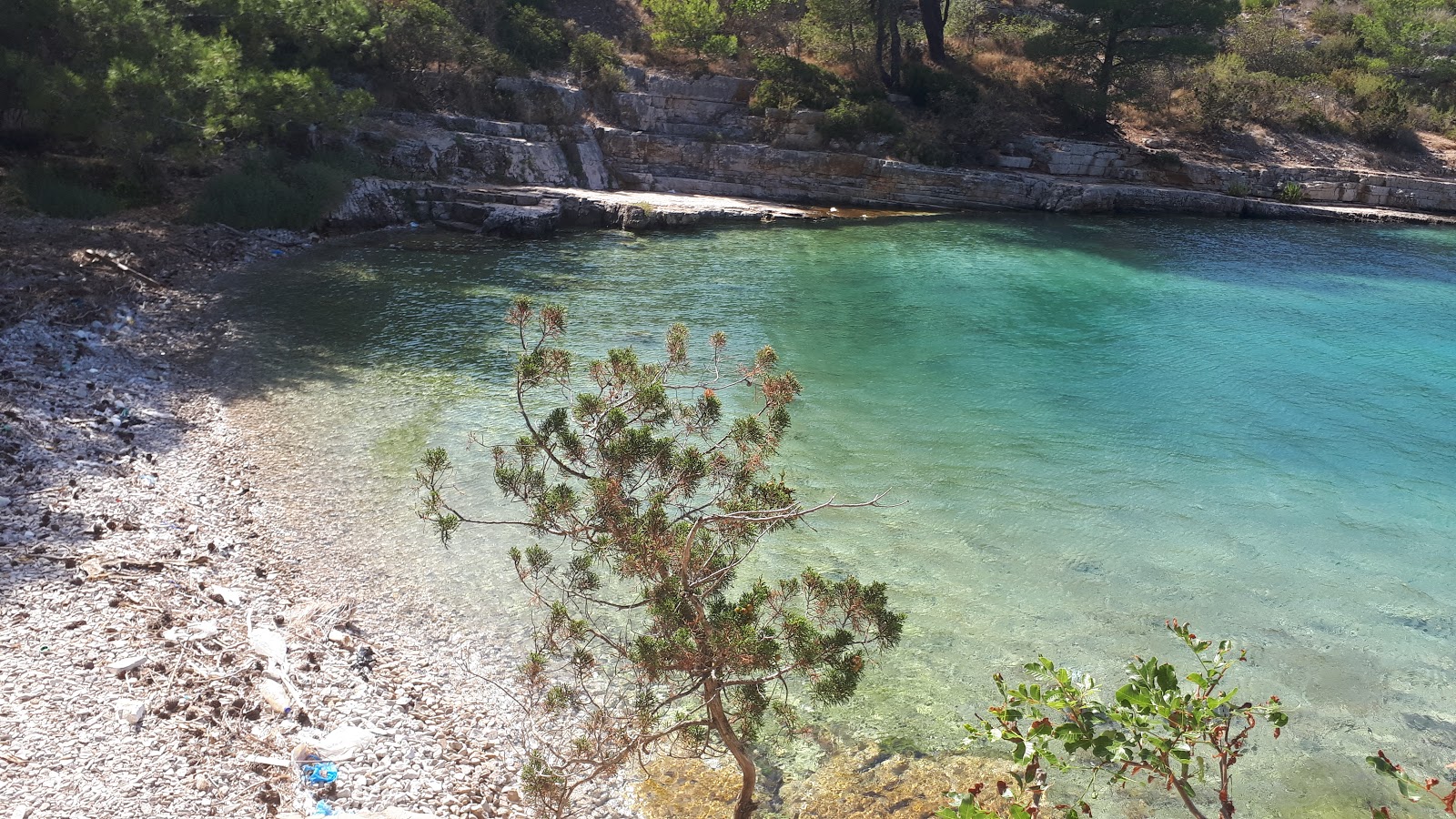 Foto af Zhukova beach beliggende i naturområde