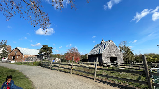 Farm «Russell Orchards», reviews and photos, 143 Argilla Rd, Ipswich, MA 01938, USA