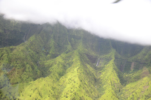 Gym «Planet Fitness», reviews and photos, 53 Marrows Rd, Newark, DE 19713, USA