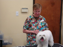 VCA Preston Park Animal Hospital - Photo 8 - Car repair in Dallas, TX, Plano
