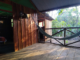 Panguana Lodge