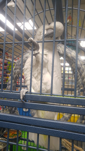 Pet Store «Pets Plus-Reptiles & Exotic», reviews and photos, 421 West Ave, Lockport, NY 14094, USA